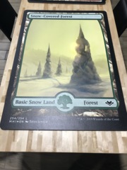 Snow-Covered Forest - Giant Magicfest Card