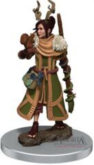 Dungeons & Dragons Fantasy Miniatures: Icons of the Realms Premium Figures W07 Female Human Druid