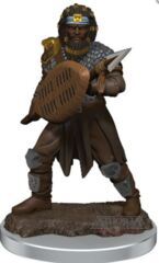Dungeons & Dragons Fantasy Miniatures: Icons of the Realms Premium Figures W07 Male Human Fighter