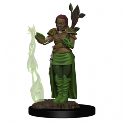 Dungeons & Dragons Icons of the Realms Premium Figures: W02 Human Female Druid
