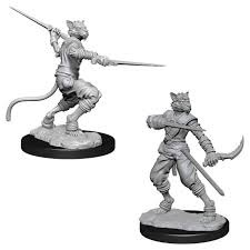 Tabaxi Rogue (Male) (73540)
