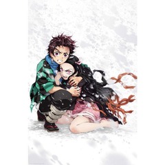 Demon Slayer - Tanjiro & Nekuko - Snow Poster