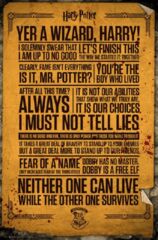 Harry Potter - Quotes Poster