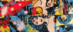 Hampton's Handmade Handicrafts - Cloth Face Mask - DC Comics Wonder Woman