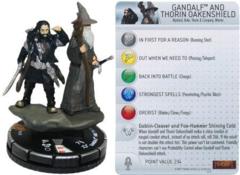 Gandalf and Throin Oakenshield 028
