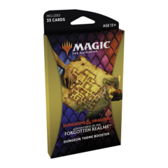 Adventures in the Forgotten Realms Theme Boosters Pack - New Theme