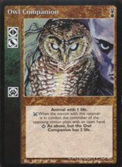 Owl Companion