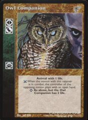 Owl Companion