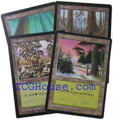 Forest Lot of 10