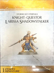 Knight-Questor Larissa Shadowstalker