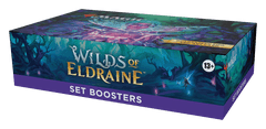 MTG Wilds of Eldraine SET Booster Box