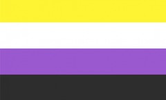 Pride Flag, Non Binary, 3'x5'