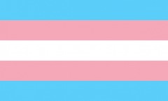 Pride Flag, Trans, 3'x5'