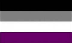 Pride Flag, Asexual, 3'x5'