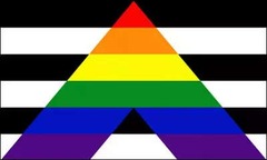 Pride Flag, Ally, 3'x5'