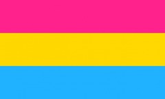 Pride Flag, Pansexual, 3'x5'