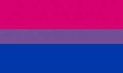Pride Flag, Bisexual, 3'x5'