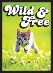 Kitten Wild and Free Legion Standard Size Premium Gaming Card Sleeves (50 Ct)