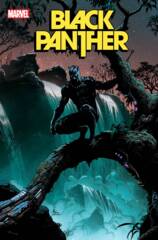 Black Panther Vol 8 #3 Cover D