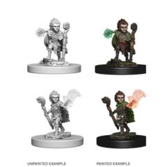 Pathfinder Battles Unpainted Minis - Gnome Male Druid
