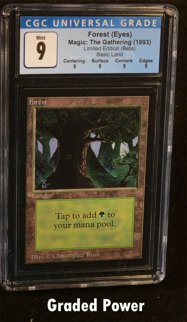 BETA Edition Forest Version 2 Old School MTG Magic The Gathering 