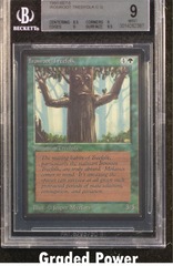 Ironroot Treefolk BGS 9 (2387)