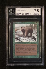 Grizzly Bears BGS 7.5 (2341)