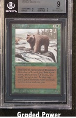 Grizzly Bears BGS 9 (2391)