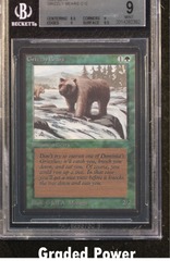 Grizzly Bears BGS 9 (2392)