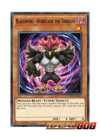 Hurricane the Tornado 1st Edition Yu-Gi-Oh DLCS-EN031 Card Blackwing