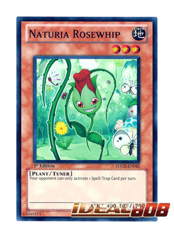 Super Rare 1x Naturia Rosewhip HA02-EN041  NM 1st Edition Yu-Gi-Oh!