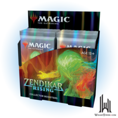 Zendikar Rising Collector Booster Box (12 packs)