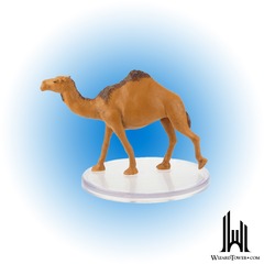 CAMEL #30