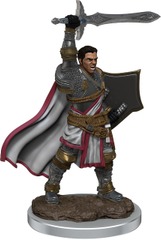 D&D Icons of the Realms Premium Figures W7 Male Human Paladin
