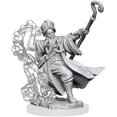 Dungeons & Dragons Frameworks: W01 Human Wizard Male