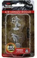 Air Genasi Rogue