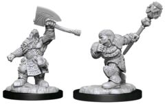 Dwarf Male Fighter & Dwarf Female Cleric (W14)