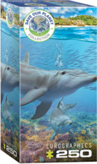 Dolphins- 250 pc puzzle
