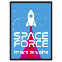 MAT095 Legion Sleeves Space Force