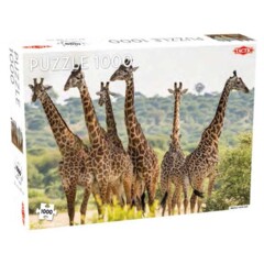 Puzzle: Animals: Tall Giraffes 1000pc