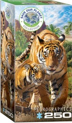 Tigers - 250pc puzzle
