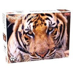 Puzzle: Animals: Tiger Portrait 1000pc