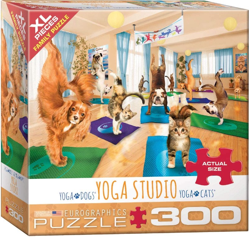 Yoga Studio - 300 pc puzzle