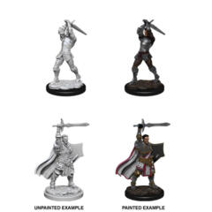 DUNGEONS AND DRAGONS: NOLZUR'S MARVELOUS UNPAINTED MINIATURES: W12 MALE HUMAN PALADIN
