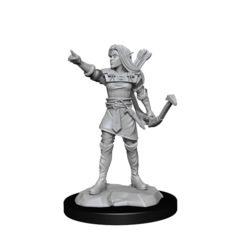 DUNGEONS AND DRAGONS NOLZUR'S MARVELOUS MINIATURES: W13 FEMALE ELF RANGER