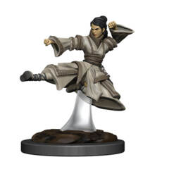 DUNGEONS AND DRAGONS: ICONS OF THE REALMS PREMIUM FIGURE (WAVE 6): FEMALE HUMAN MONK