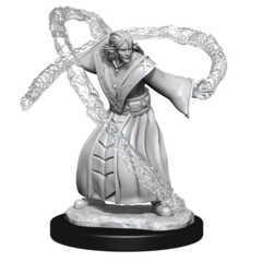 DUNGEONS AND DRAGONS NOLZUR'S MARVELOUS MINIATURES: W13 MALE ELF WIZARD
