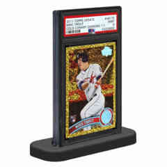 ULTRA PRO: PSA GRADED CARD STAND 10-PACK