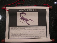 Scorpion Wall Scroll