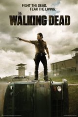 #07 - Walking Dead Prison